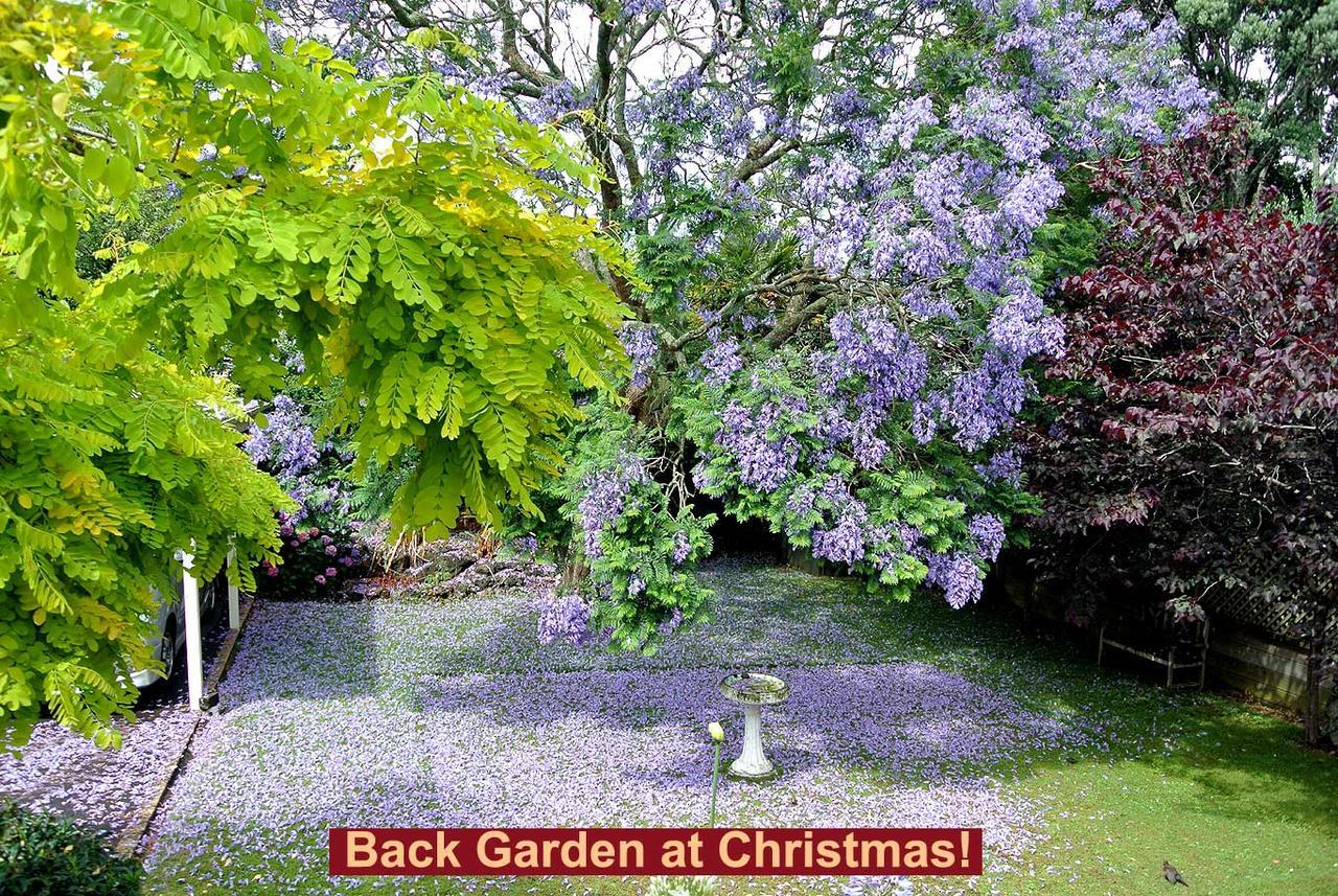 The Grange Bed & Breakfast Auckland Ngoại thất bức ảnh